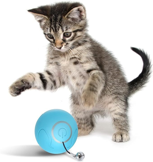 Auto-Chase Cat Ball